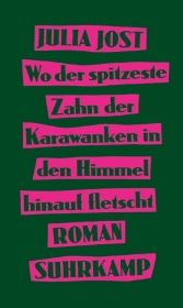 Julia Jost “Wo der spitzeste Zahn der Karawanken in den Himmel hinauf fletscht”